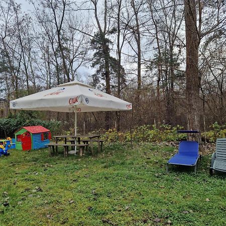 Pensiunea Carpe Diem Râmnicu Vâlcea 外观 照片